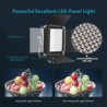 Kit de 2 Lámparas Neewer RED / BLUE, LED-NL660 LED Bicolor con Pedestales