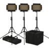 Kit de 3 Lámparas ikan Onyx Half Bicolor OYB5-3PT-KIT
