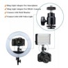 Adaptador HTZ MiniBall Head